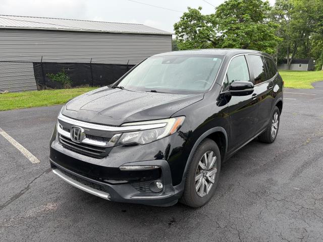 2019 Honda Pilot 2WD EX-L's photo